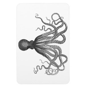 Ímã Kraken - polvo gigante preto/Cthulu