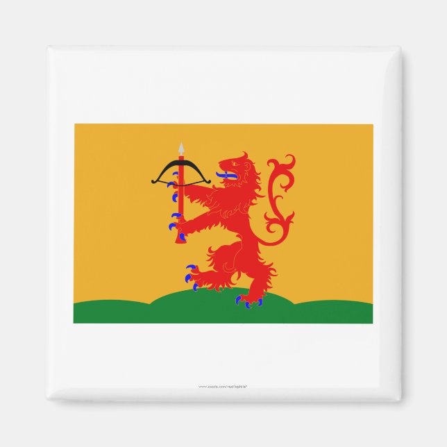 Imã Kronobergs län flag (Frente)