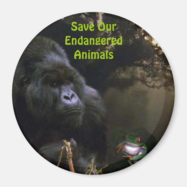 Imã Kunga Mountain Gorilla & Sapo Willife Art Magnet (Frente)