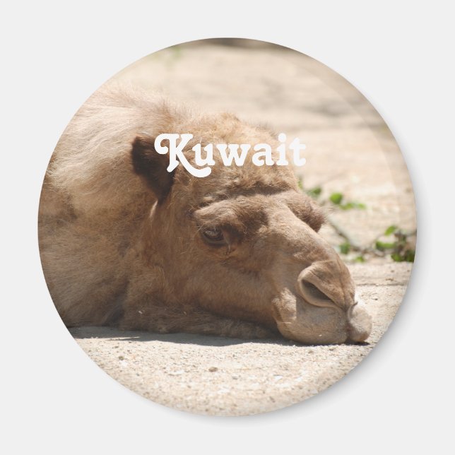 Imã Kuwait Camel (Frente)