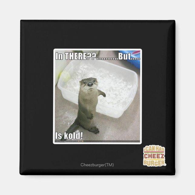 Imã Lá dentro? É o Kold! (Frente)