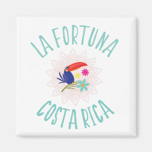 Imã La Fortuna Costa Rica Toucan Souvenir