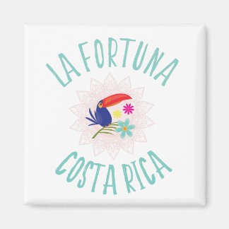 Imã La Fortuna Costa Rica Toucan Souvenir