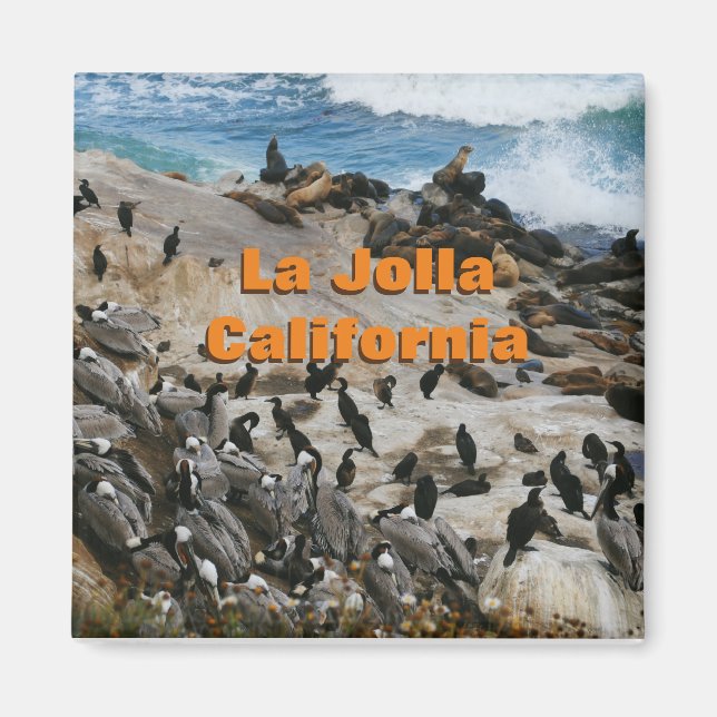 Imã La Jolla California Souvenir Magnet (Frente)