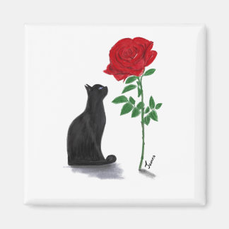 Imã la vie en rosa de Pacha