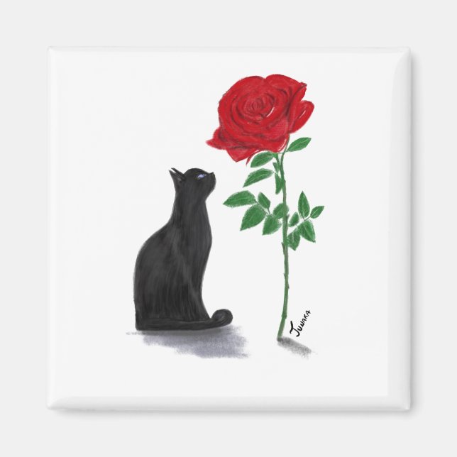 Imã la vie en rosa de Pacha (Frente)