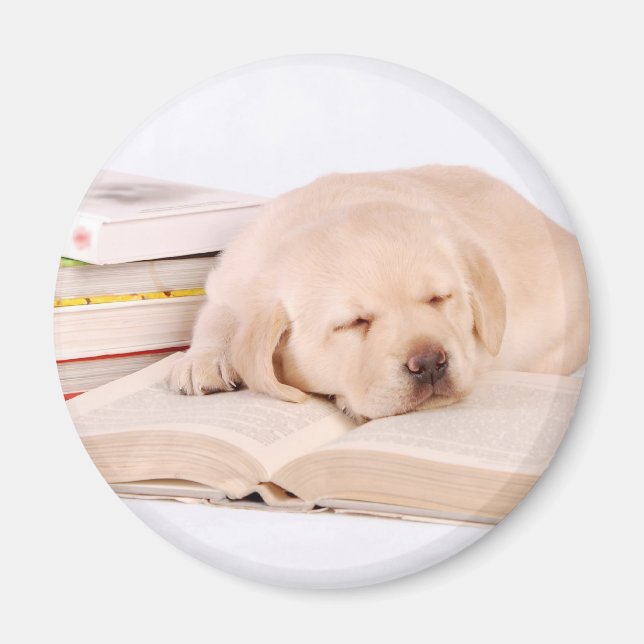 Imã Laboratório (Frente)