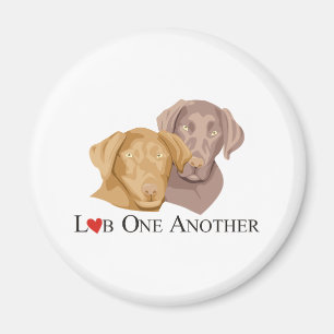 Imã Laboratório camisas de um umas outras Labrador