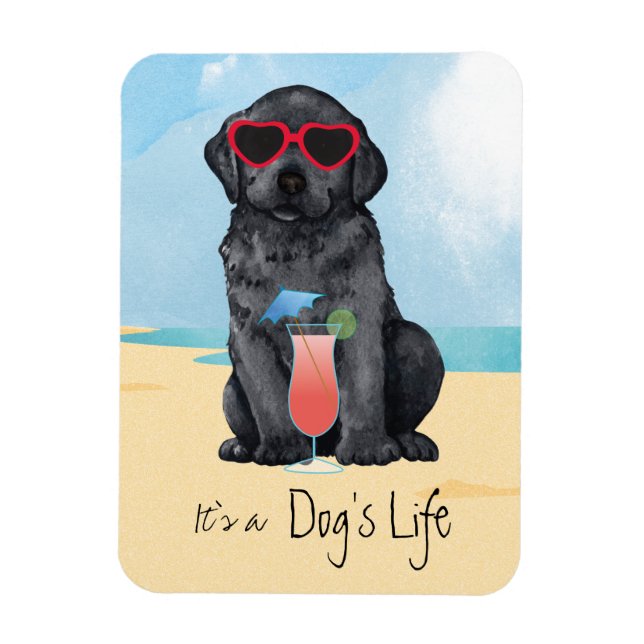 Ímã Laboratório de Verão Preto (Vertical)