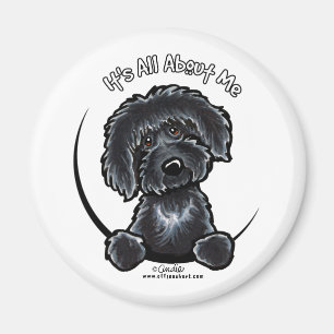 Imã Labradodle preto IAAM