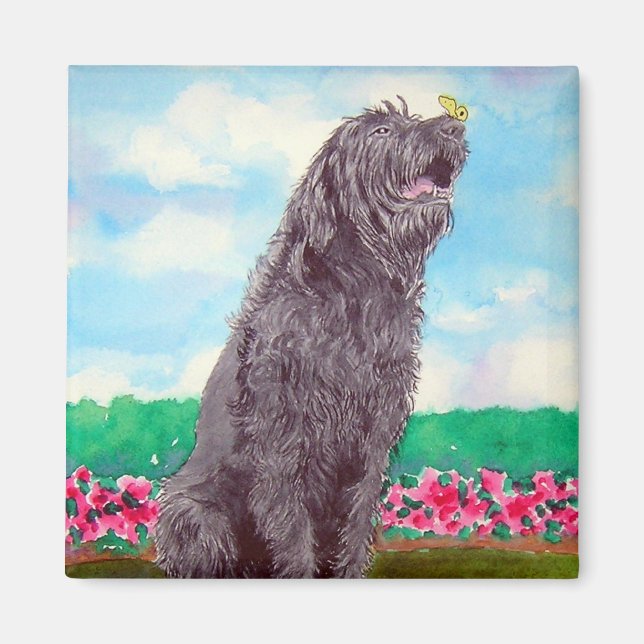 Imã Labradoodle com ímã borboleta (Frente)