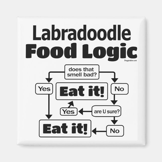 Imã Labradoodle Comida Logic (Frente)