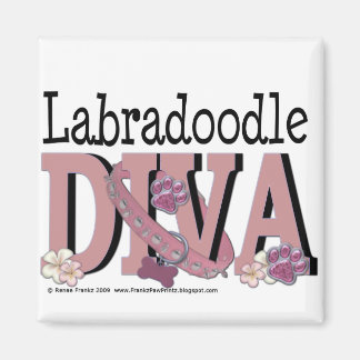 Imã LabraDoodle DIVA