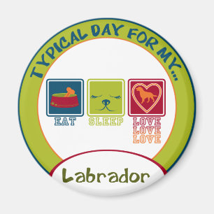 Imã Labrador