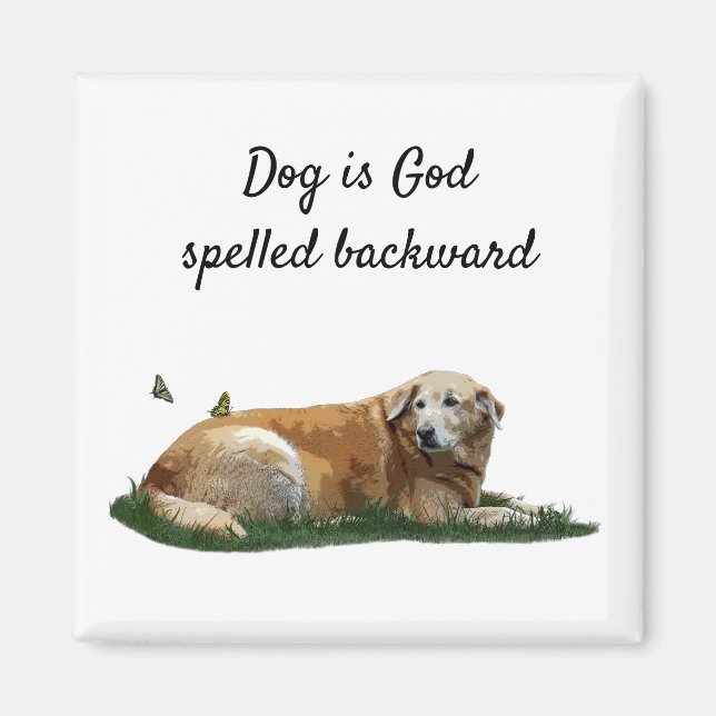 Imã Labrador Amarelo Mistura de Cães de Raça (Frente)