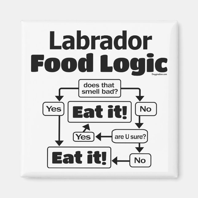 Imã Labrador Comida Logic (Frente)