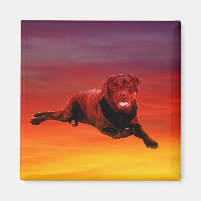 Imã Labrador Dog Sentado na Praia (Frente)