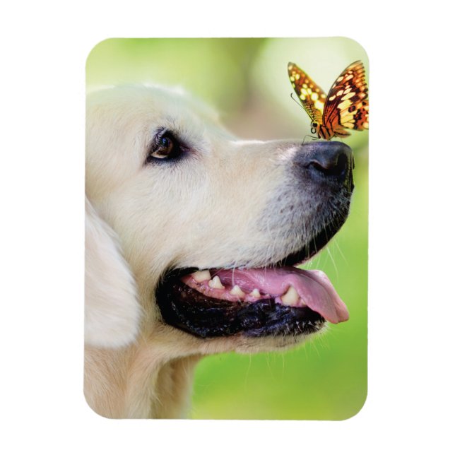 Ímã Labrador E Travesseiro decorativo De Borboleta (Vertical)