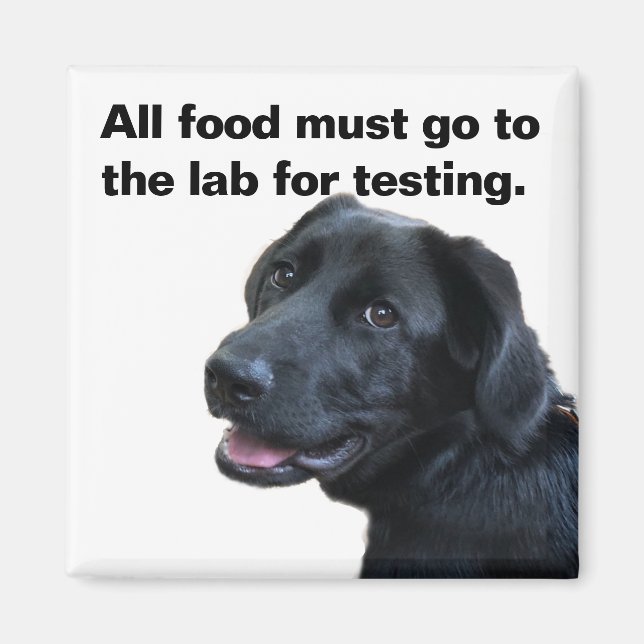 Imã Labrador Love (Frente)