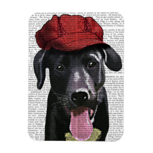 Ímã Labrador Preto Com Boné Vermelho