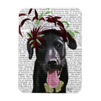 Labrador Preto Com Fascinador Verde