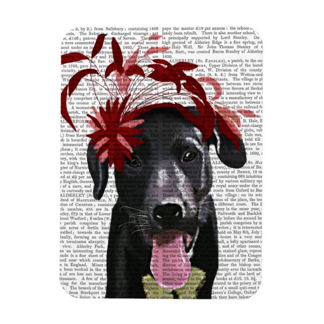 Ímã Labrador Preto Com Fascinador Vermelho (Vertical)