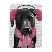 Labrador Preto Com Malgas Oculares