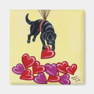 Imã Labrador preto que recolhe o AMOR