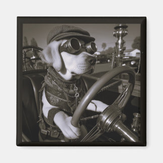 Imã Labrador Retriever