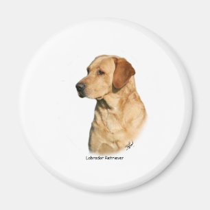 Imã Labrador retriever amarelo