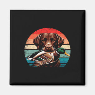 Imã Labrador Retriever Com Caça A Patos De Mallard