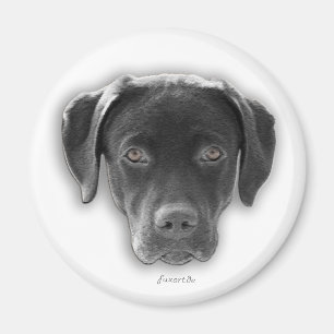 Imã Labrador Retriever íman