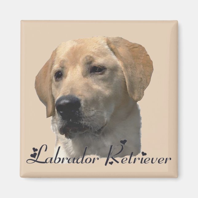 Imã Labrador Retriever Oferece Arte Laboral Amarela (Frente)