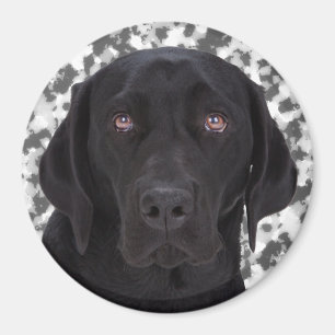 Imã Labrador retriever preto