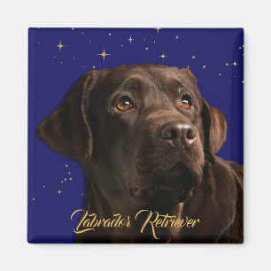 Imã Labrador Retriever Starry Sky