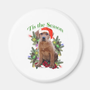 Imã Labrador Retriever "Tis