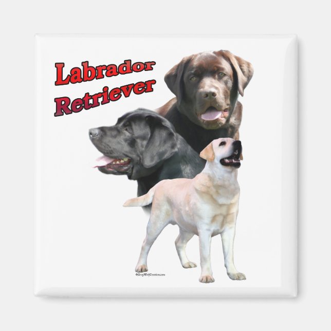 Imã Labrador Retriever Trio 2 - Magnet (Frente)