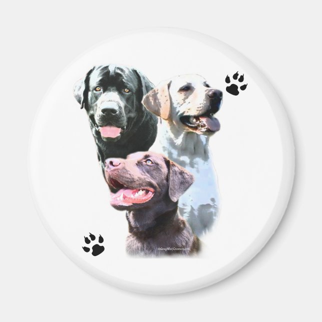 Imã Labrador Retriever Trio - Magnet (Frente)