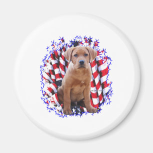 Imã Labrador Retriever (vermelho) Patriot