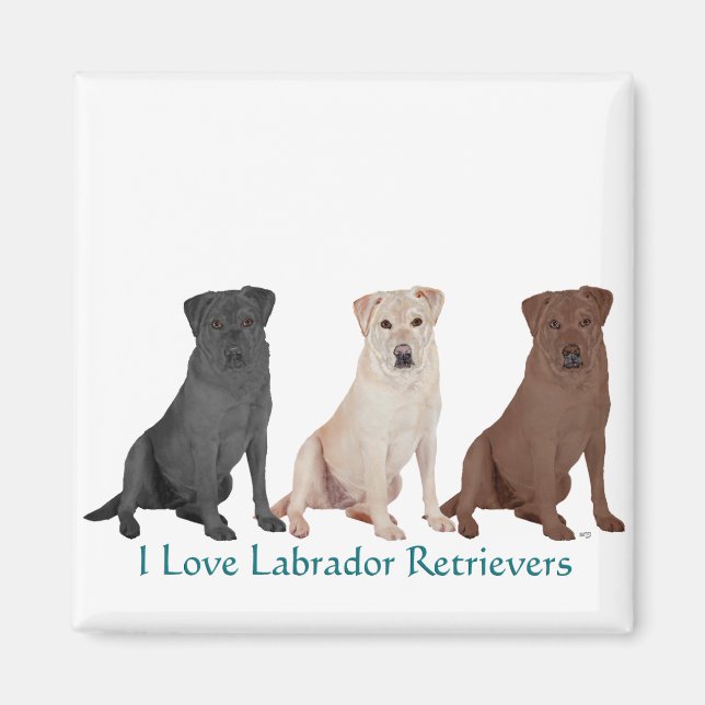 Imã Labrador Retrievers - 3 cores para amar (Frente)