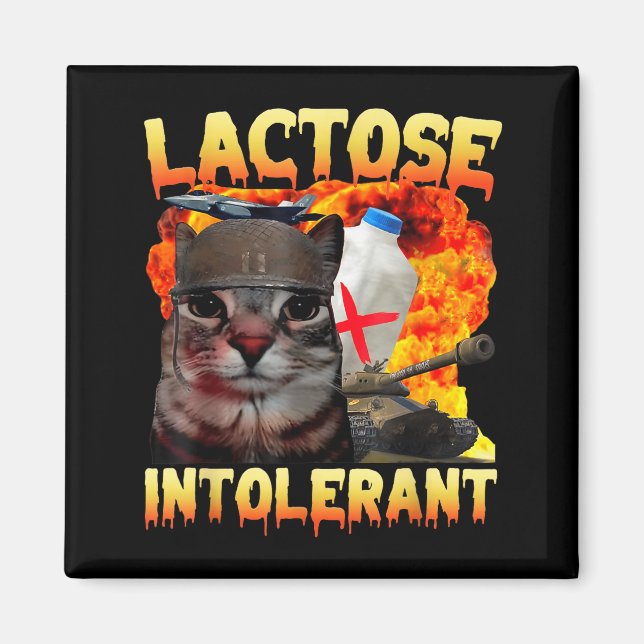 Imã Lactose Intolerant Silly Cat Meme Funny Saying Cat (Frente)