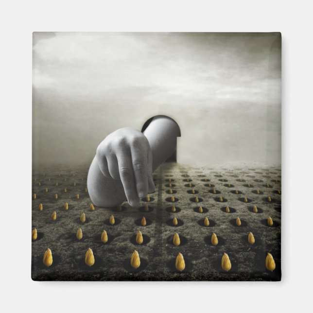 Imã Ladrão de Tulipas 2013 (Frente)