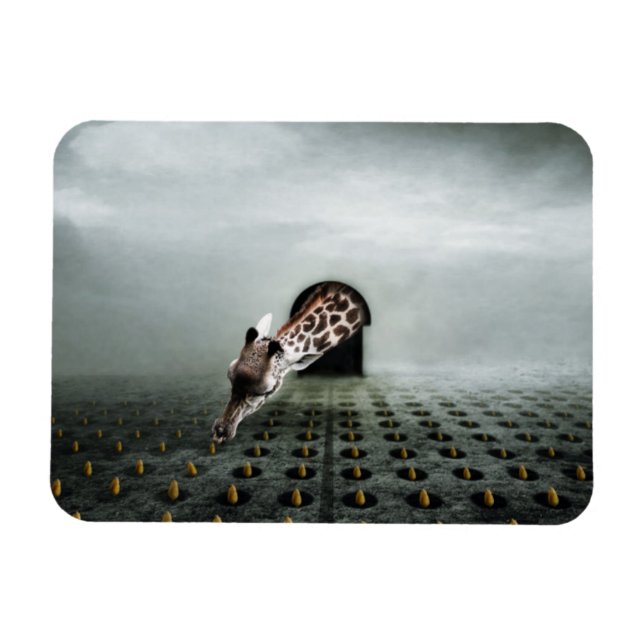 Ímã ladrão de tulipas 2 2013 (Horizontal)