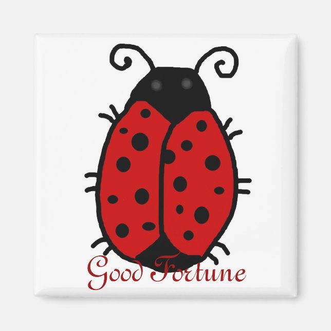 Imã Lady Bug: Boa fortuna, bom ímã da Fortuna (Frente)