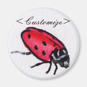 Imã Lady Bug Magnet