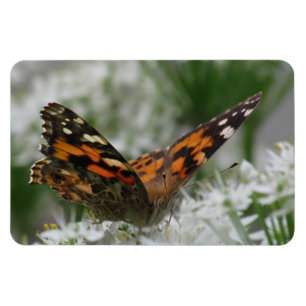 Ímã Lady Butterfly Pintada
