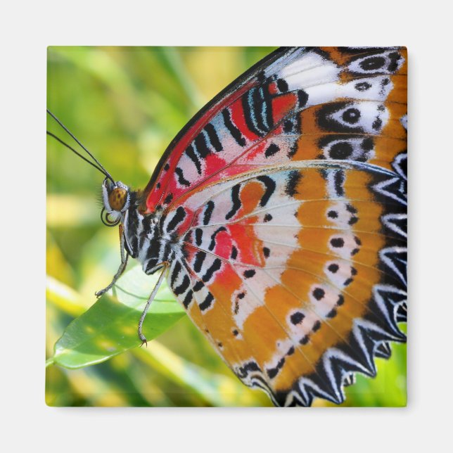 Imã Lady Butterfly Pintada (Frente)