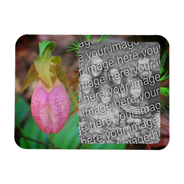 Ímã Lady Slipper Orchid Frame Add Your Photo (Horizontal)