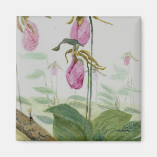 Imã Lady Slippers