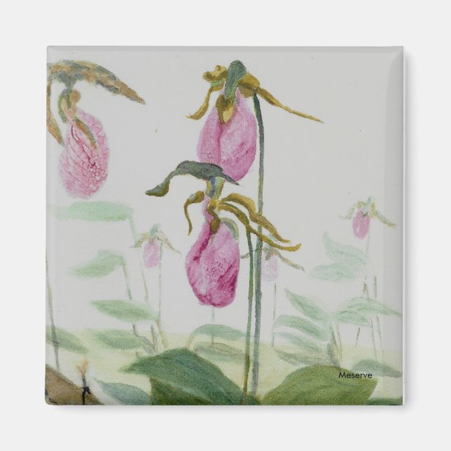 Imã Lady Slippers Magnet (Frente)